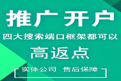 搜索引擎营销（SEM）的精准投放技巧案例