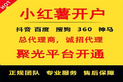 经典案例：专业SEM托管如何实现ROI最大化